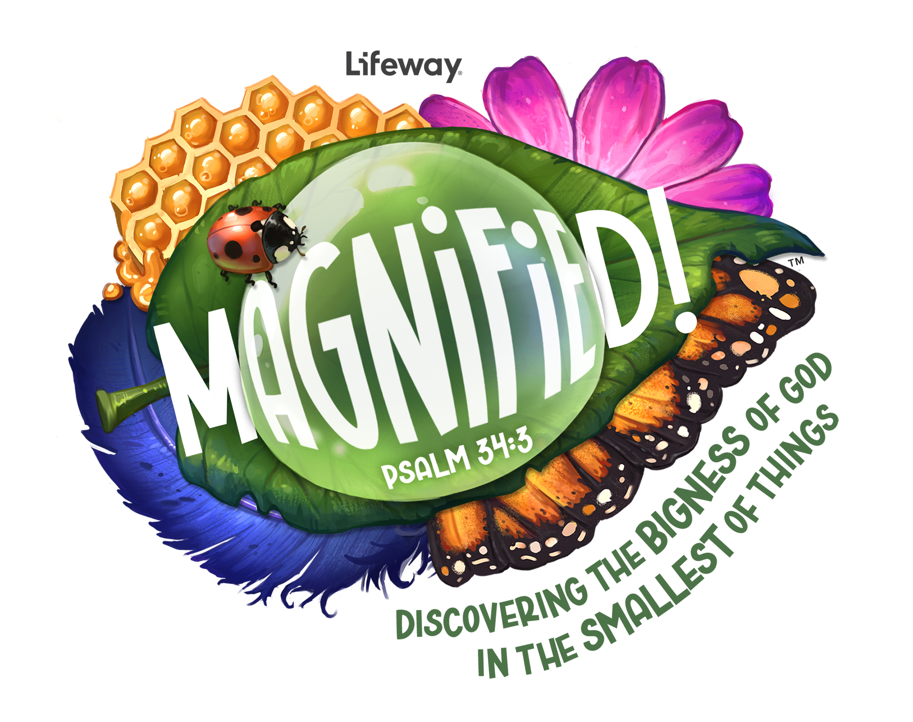Lifeway’s 2025 VBS theme ‘Magnified!’ leads kids to explore God’s greatness Baptist Press