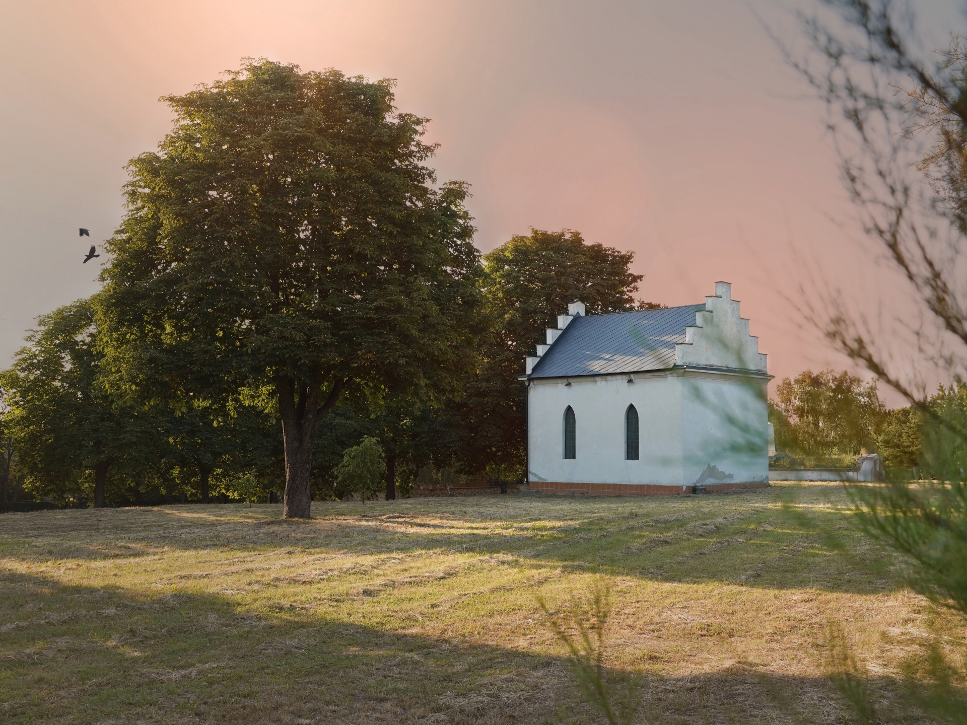 Missionary sparks partnership between rural churches in U.S., Europe