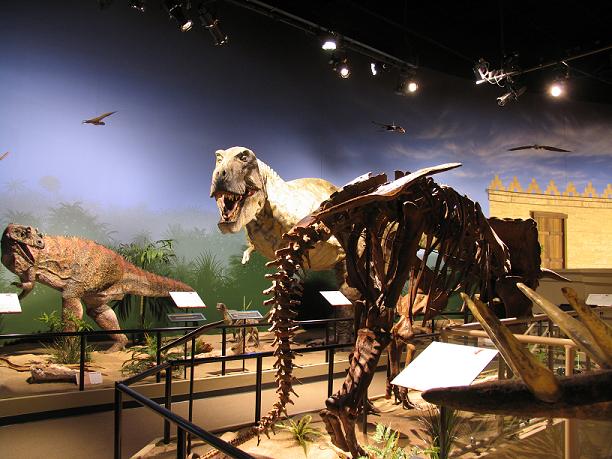 creationist dinosaur museum